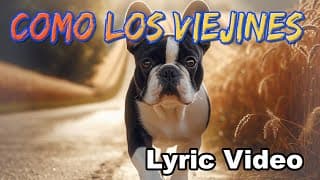 El Vinculo Como los Viejines Lyric